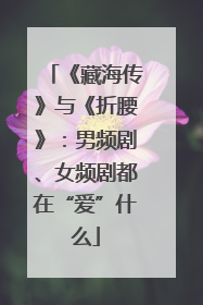 《藏海传》与《折腰》：男频剧、女频剧都在“爱”什么