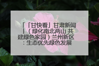 「甘快看」甘肃新闻丨（绿化南北两山 共建绿色家园）兰州新区：生态优先绿色发展 打造生态环保示范区