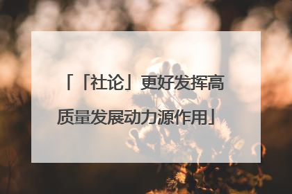 「社论」更好发挥高质量发展动力源作用
