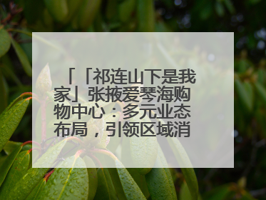 「祁连山下是我家」张掖爱琴海购物中心：多元业态布局，引领区域消费新风尚