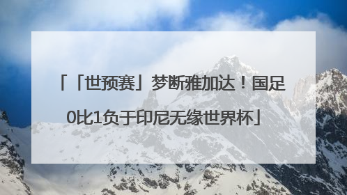 「世预赛」梦断雅加达！国足0比1负于印尼无缘世界杯