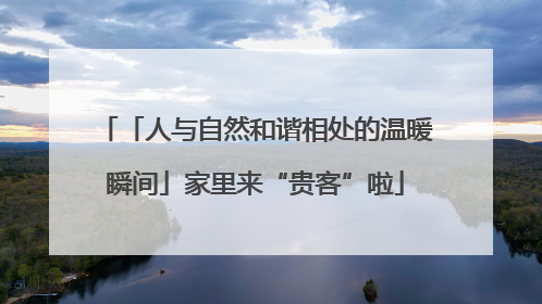 「人与自然和谐相处的温暖瞬间」家里来“贵客”啦