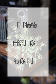 「楠楠自语」你行你上