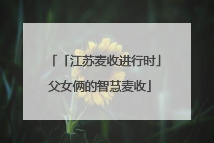 「江苏麦收进行时」父女俩的智慧麦收