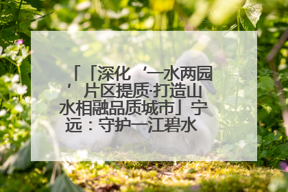 「深化‘一水两园’片区提质·打造山水相融品质城市」宁远：守护一江碧水 共享幸福河湖