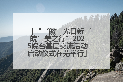“‘徽’光日新‘皖’美之行”2025皖台基层交流活动启动仪式在芜举行