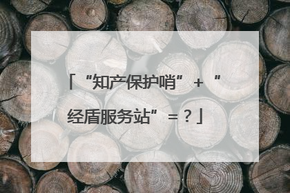 “知产保护哨”+“经盾服务站”=？