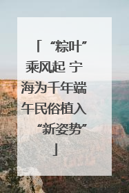 “粽叶”乘风起 宁海为千年端午民俗植入“新姿势”