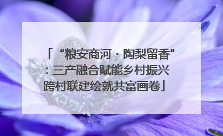 “粮安商河・陶梨留香”：三产融合赋能乡村振兴 跨村联建绘就共富画卷