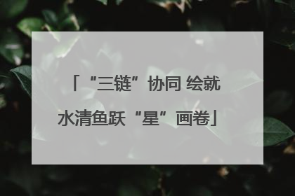 “三链”协同 绘就水清鱼跃“星”画卷