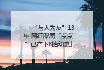 “与人为友”13年 网红麋鹿“点点”已产下8胎幼崽