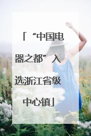 “中国电器之都”入选浙江省级中心镇