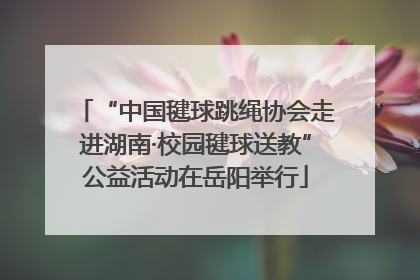“中国毽球跳绳协会走进湖南·校园毽球送教”公益活动在岳阳举行