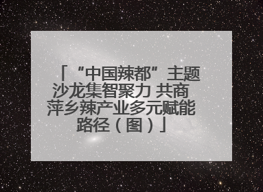 “中国辣都”主题沙龙集智聚力 共商萍乡辣产业多元赋能路径（图）