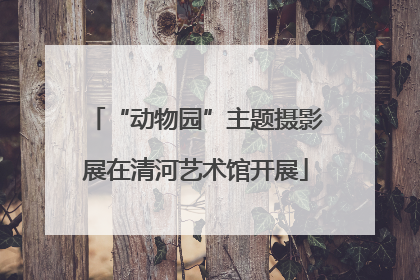 “动物园”主题摄影展在清河艺术馆开展