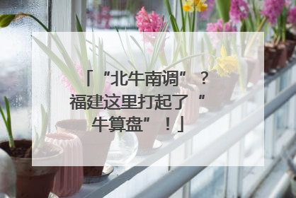 “北牛南调”？福建这里打起了“牛算盘”！