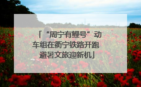 “周宁有鲤号”动车组在衢宁铁路开跑 避暑文旅迎新机