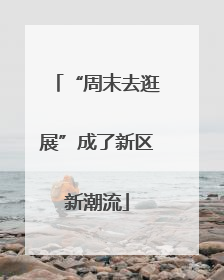 “周末去逛展”成了新区新潮流
