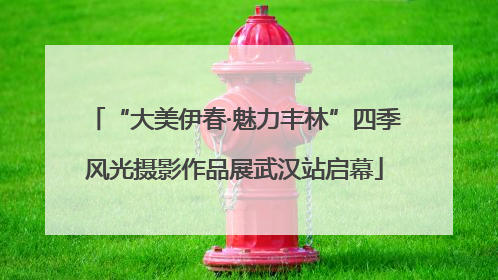 “大美伊春·魅力丰林”四季风光摄影作品展武汉站启幕