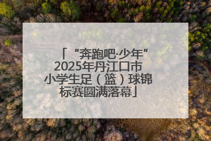 “奔跑吧·少年”2025年丹江口市小学生足（篮）球锦标赛圆满落幕