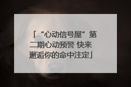 “心动信号屋”第二期心动预警 快来邂逅你的命中注定