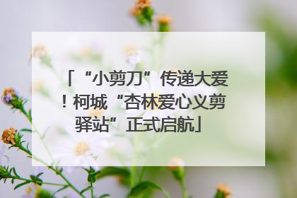 “小剪刀”传递大爱！柯城“杏林爱心义剪驿站”正式启航