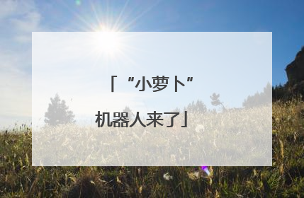 “小萝卜”机器人来了