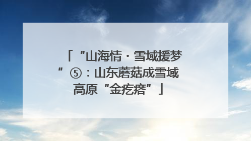 “山海情・雪域援梦”⑤：山东蘑菇成雪域高原“金疙瘩”
