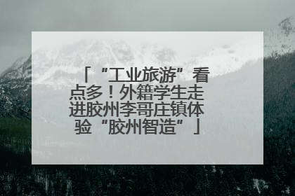 “工业旅游”看点多！外籍学生走进胶州李哥庄镇体验“胶州智造”