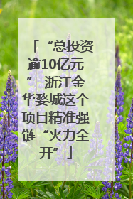 “总投资逾10亿元” 浙江金华婺城这个项目精准强链“火力全开”