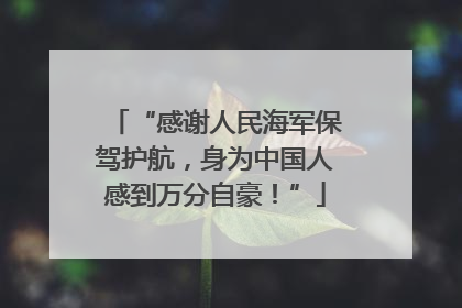 “感谢人民海军保驾护航，身为中国人感到万分自豪！”