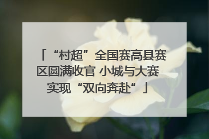 “村超”全国赛高县赛区圆满收官 小城与大赛实现“双向奔赴”