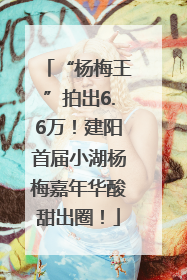“杨梅王”拍出6.6万！建阳首届小湖杨梅嘉年华酸甜出圈！