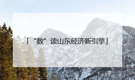 “数”读山东经济新引擎