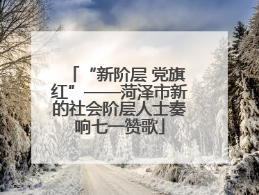 “新阶层 党旗红”——菏泽市新的社会阶层人士奏响七一赞歌