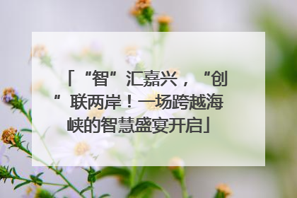 “智”汇嘉兴，“创”联两岸！一场跨越海峡的智慧盛宴开启