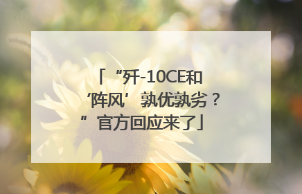 “歼-10CE和‘阵风’孰优孰劣？”官方回应来了