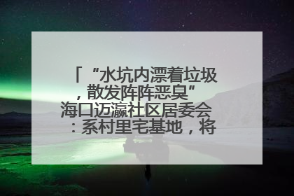 “水坑内漂着垃圾，散发阵阵恶臭” 海口迈瀛社区居委会：系村里宅基地，将派人打捞垃圾