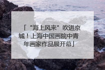 “海上风来”吹进京城！上海中国画院中青年画家作品展开幕