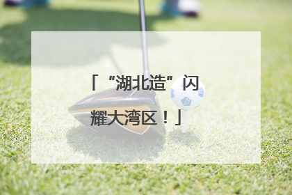 “湖北造”闪耀大湾区！