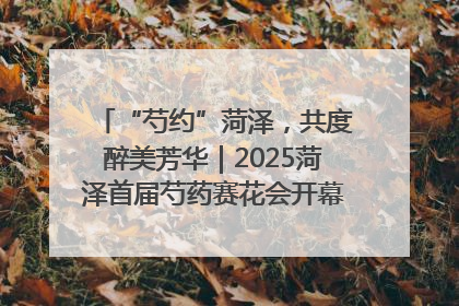 “芍约”菏泽，共度醉美芳华｜2025菏泽首届芍药赛花会开幕，103家企业参赛