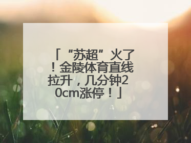 “苏超”火了！金陵体育直线拉升，几分钟20cm涨停！