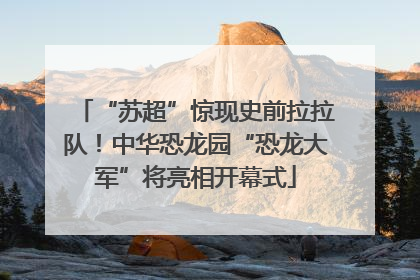 “苏超”惊现史前拉拉队！中华恐龙园“恐龙大军”将亮相开幕式