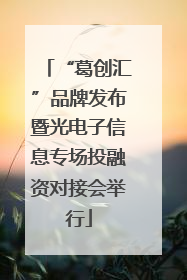 “葛创汇”品牌发布暨光电子信息专场投融资对接会举行