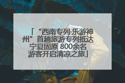 “西南专列·乐游神州”首趟旅游专列抵达宁夏固原 800余名游客开启清凉之旅