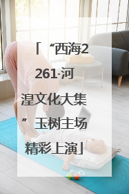 “西海2261·河湟文化大集”玉树主场精彩上演