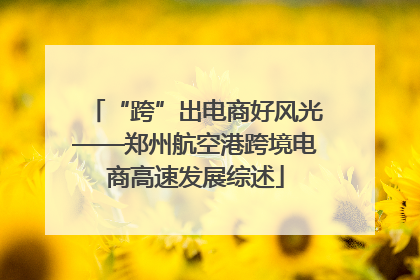 “跨”出电商好风光——郑州航空港跨境电商高速发展综述