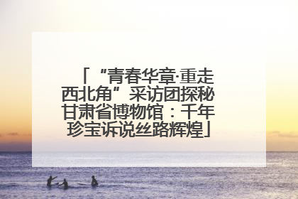 “青春华章·重走西北角”采访团探秘甘肃省博物馆：千年珍宝诉说丝路辉煌