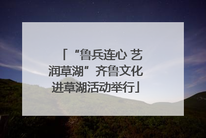 “鲁兵连心 艺润草湖”齐鲁文化进草湖活动举行