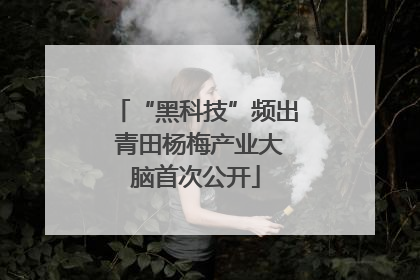 “黑科技”频出 青田杨梅产业大脑首次公开